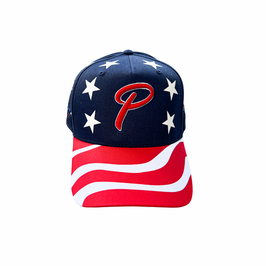 USA P Snapback
