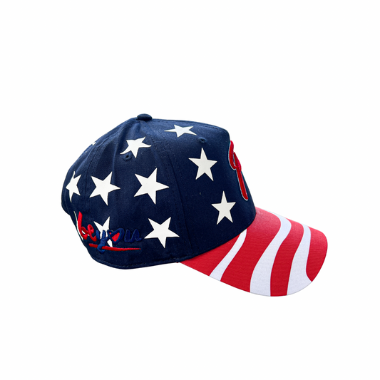 USA P Snapback